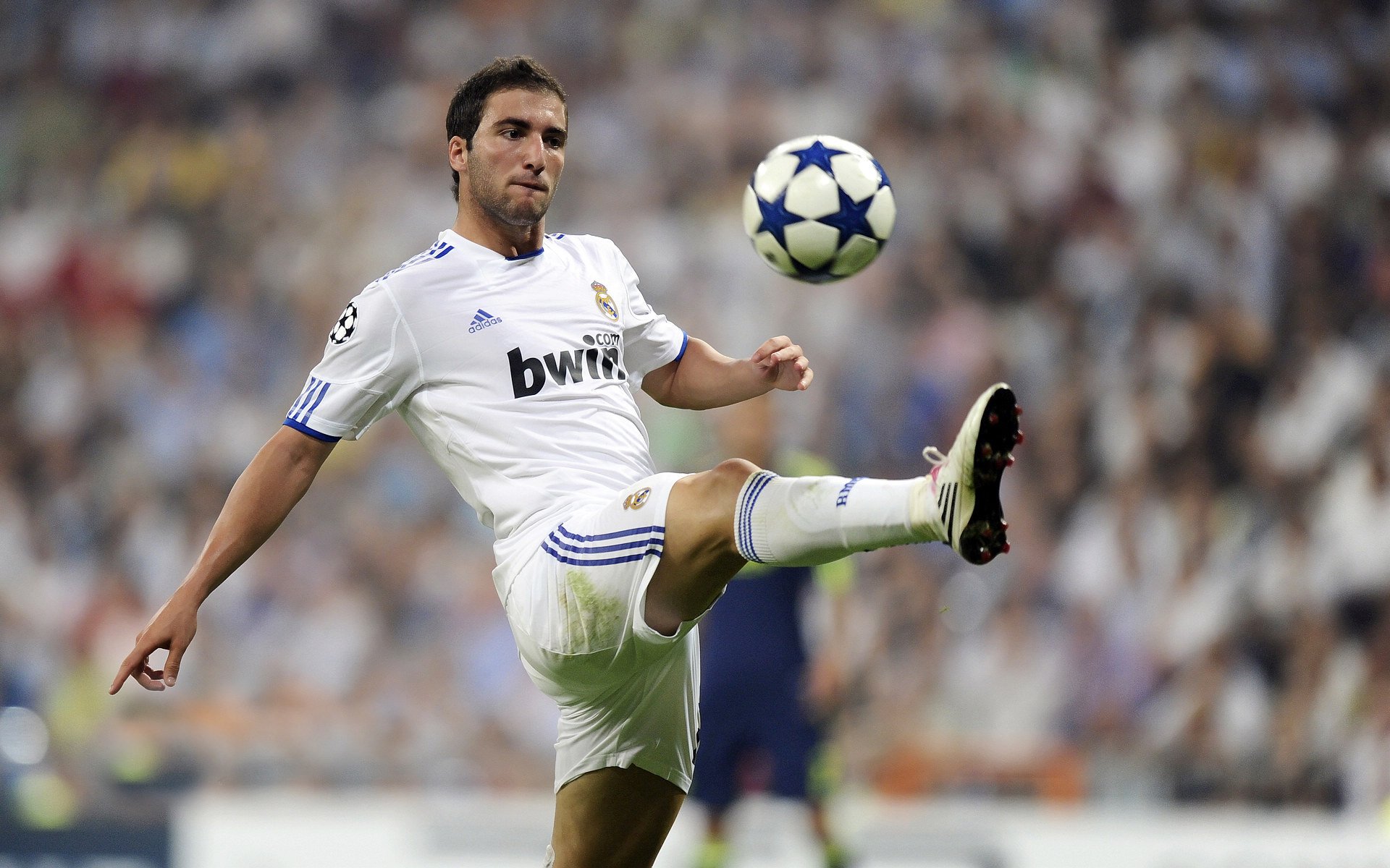 FB体育网页版-德甲争冠战之夜，塔图姆彻底打爆防线